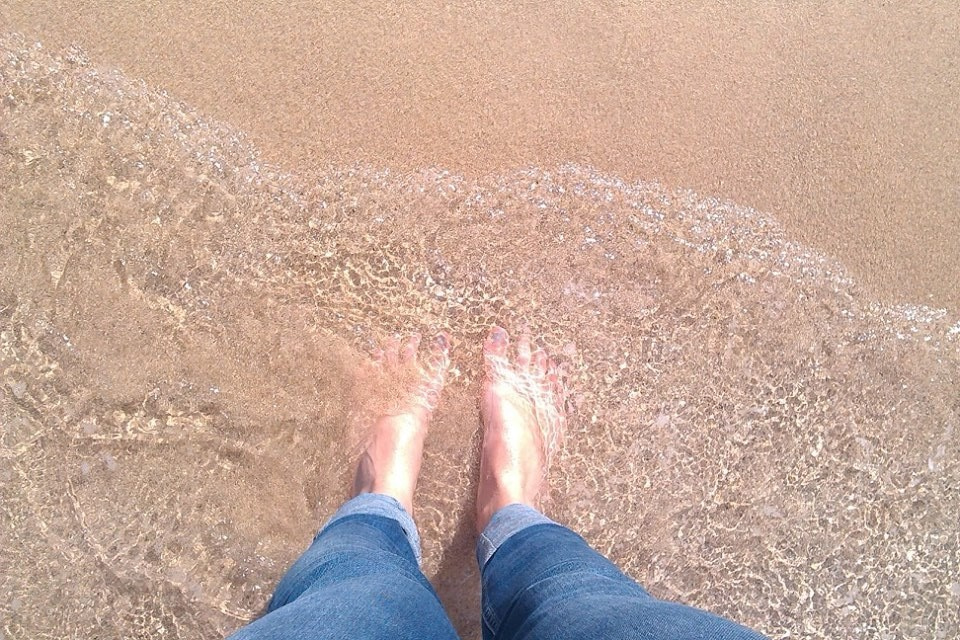 World Oceans Day 2016: All the creatures in the sea